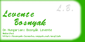 levente bosnyak business card